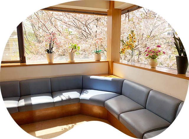 さえだ歯科メイン画像1枚目